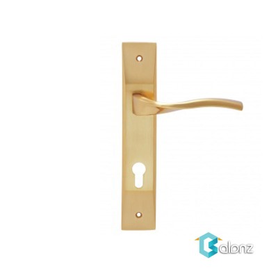 دستگیره پلاک HTN Prime مدل 1700 طلایی