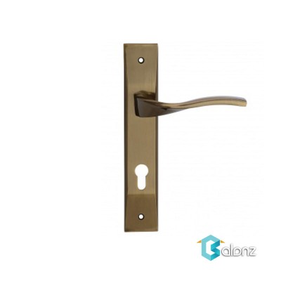 دستگیره پلاک HTN Prime مدل 1700 زیتونی